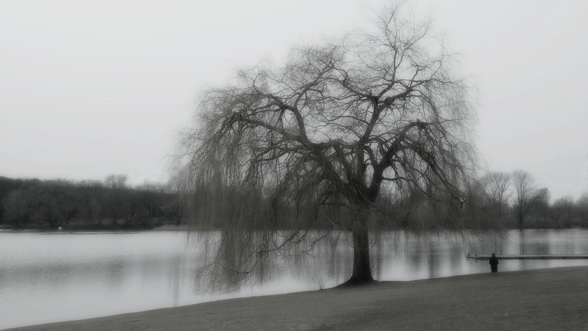 Dämmerung am Fühlinger See