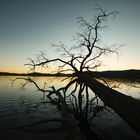 Dämmerung am Laacher See