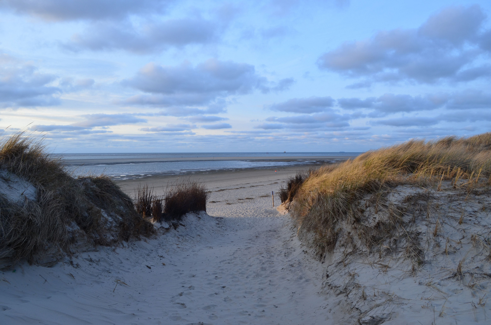 Dämmerung am Langeooger Strand