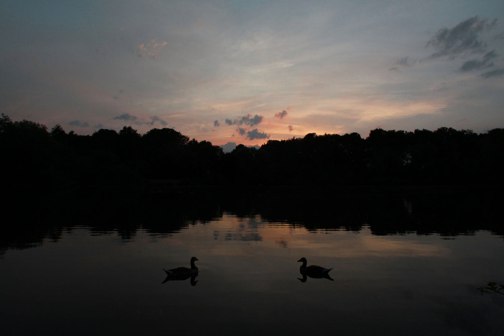 Dämmerung am Teich