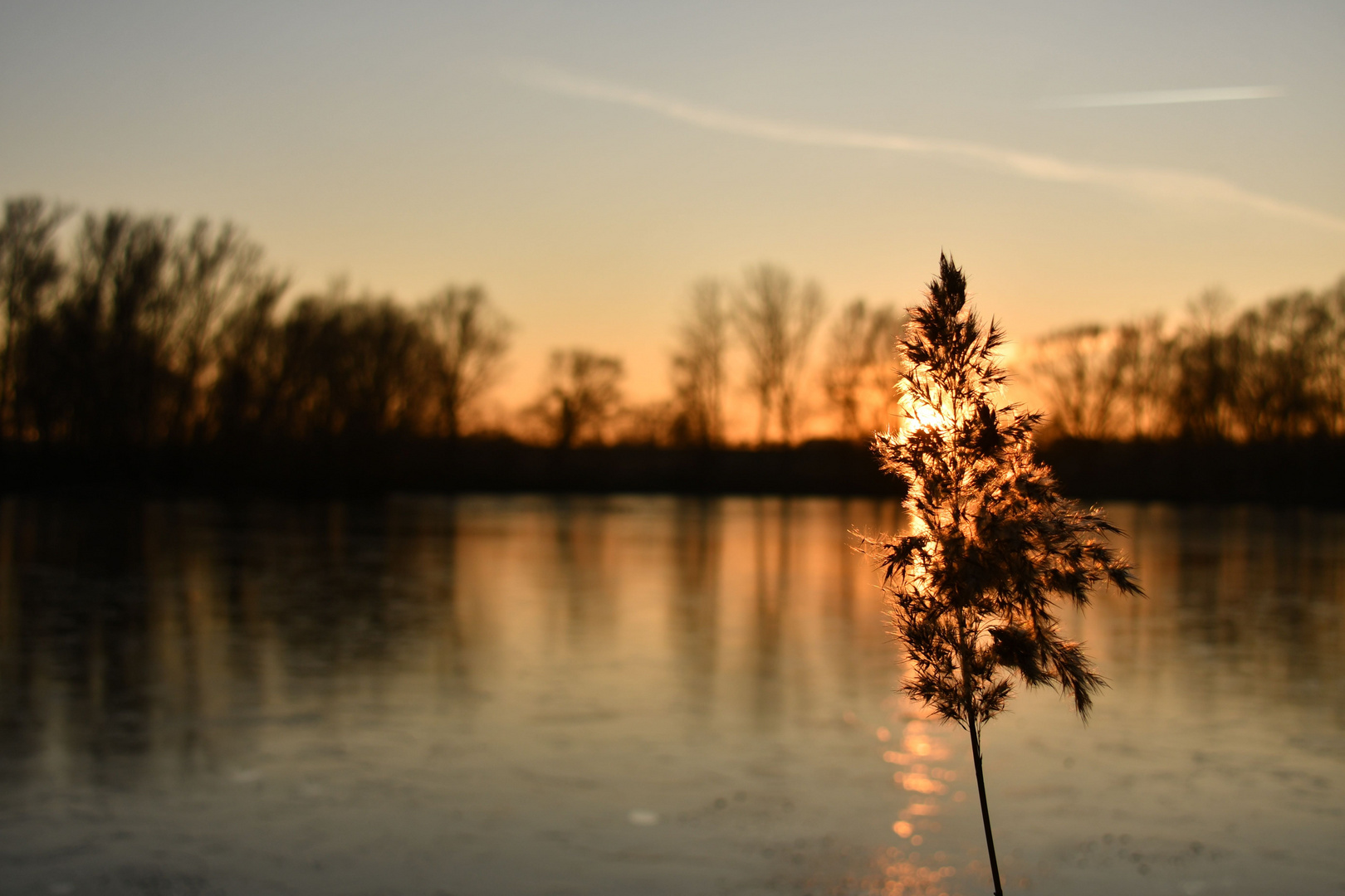 Dämmerung Am Teich