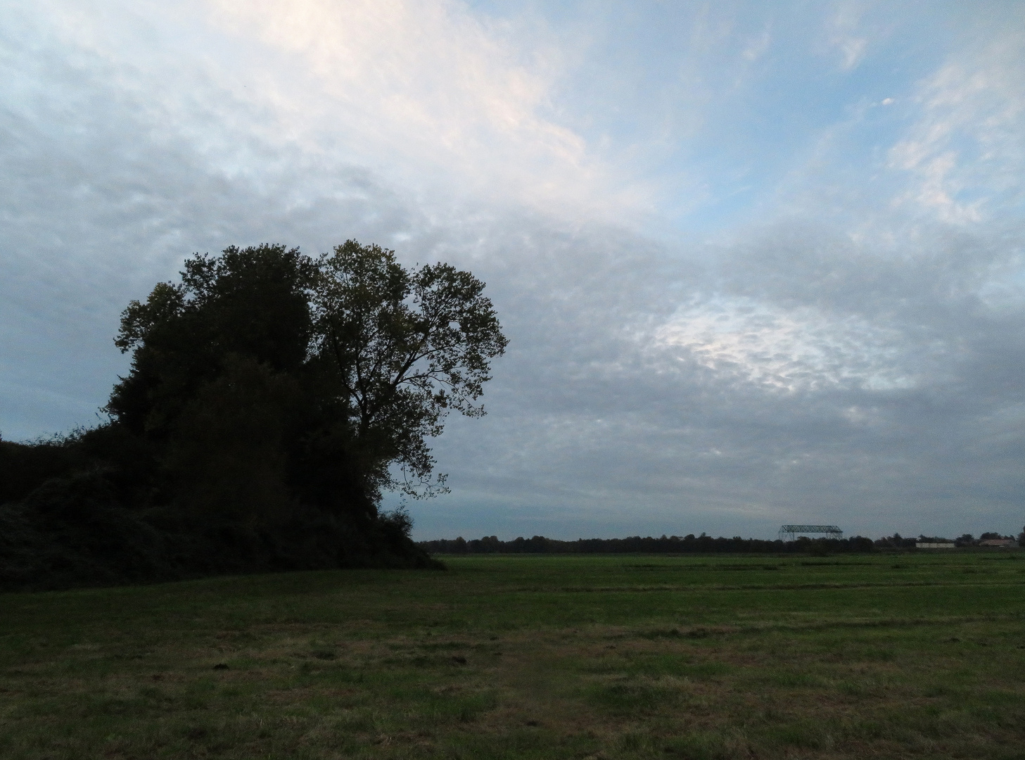 Dämmerung auf den Wiesen hinter dem kleinen Wald 