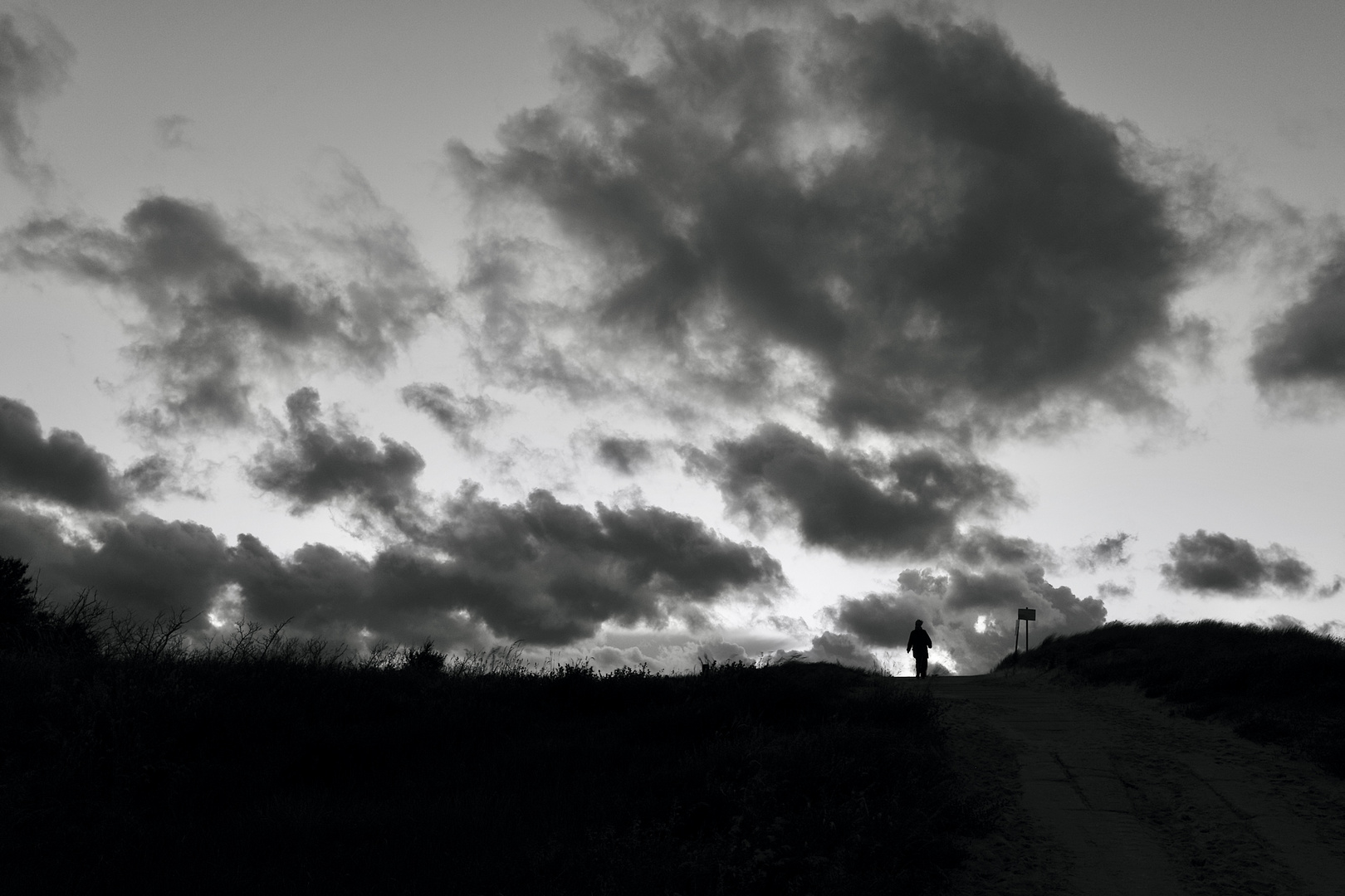 Dämmerung auf der Düne