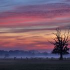 Dämmerung bei aufkommendem Nebel