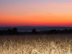 Dämmerung bei Edelsfeld 3