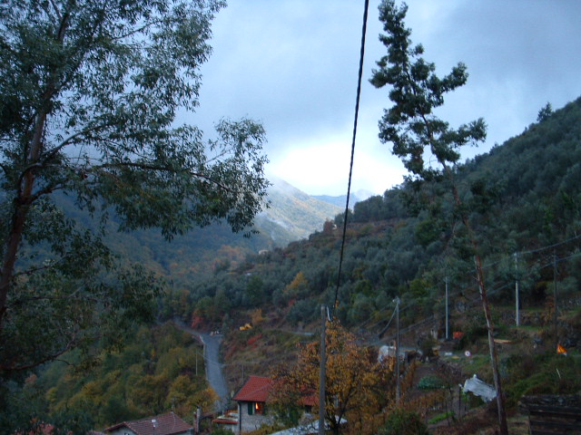 Dämmerung im Herbst