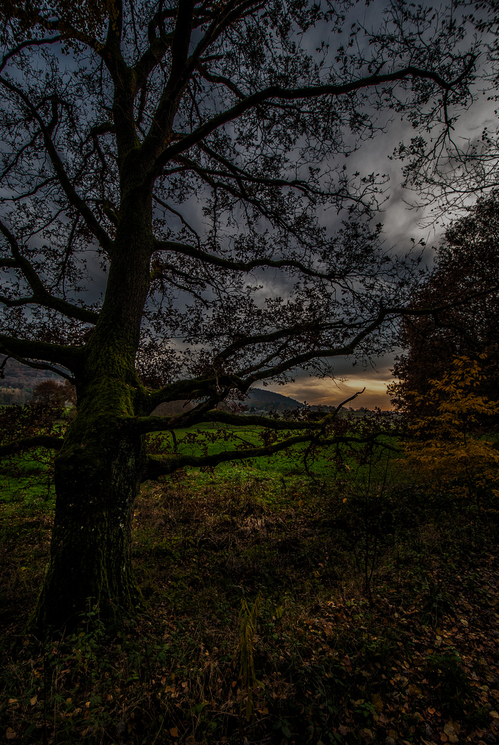 _Dämmerung im Herbst