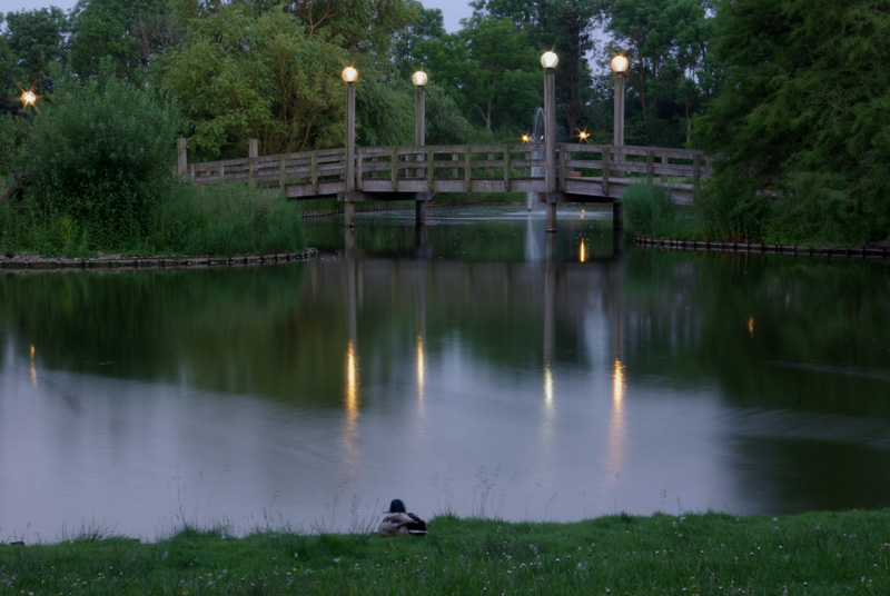 Dämmerung im Kurpark