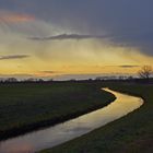 Dämmerung im Moor