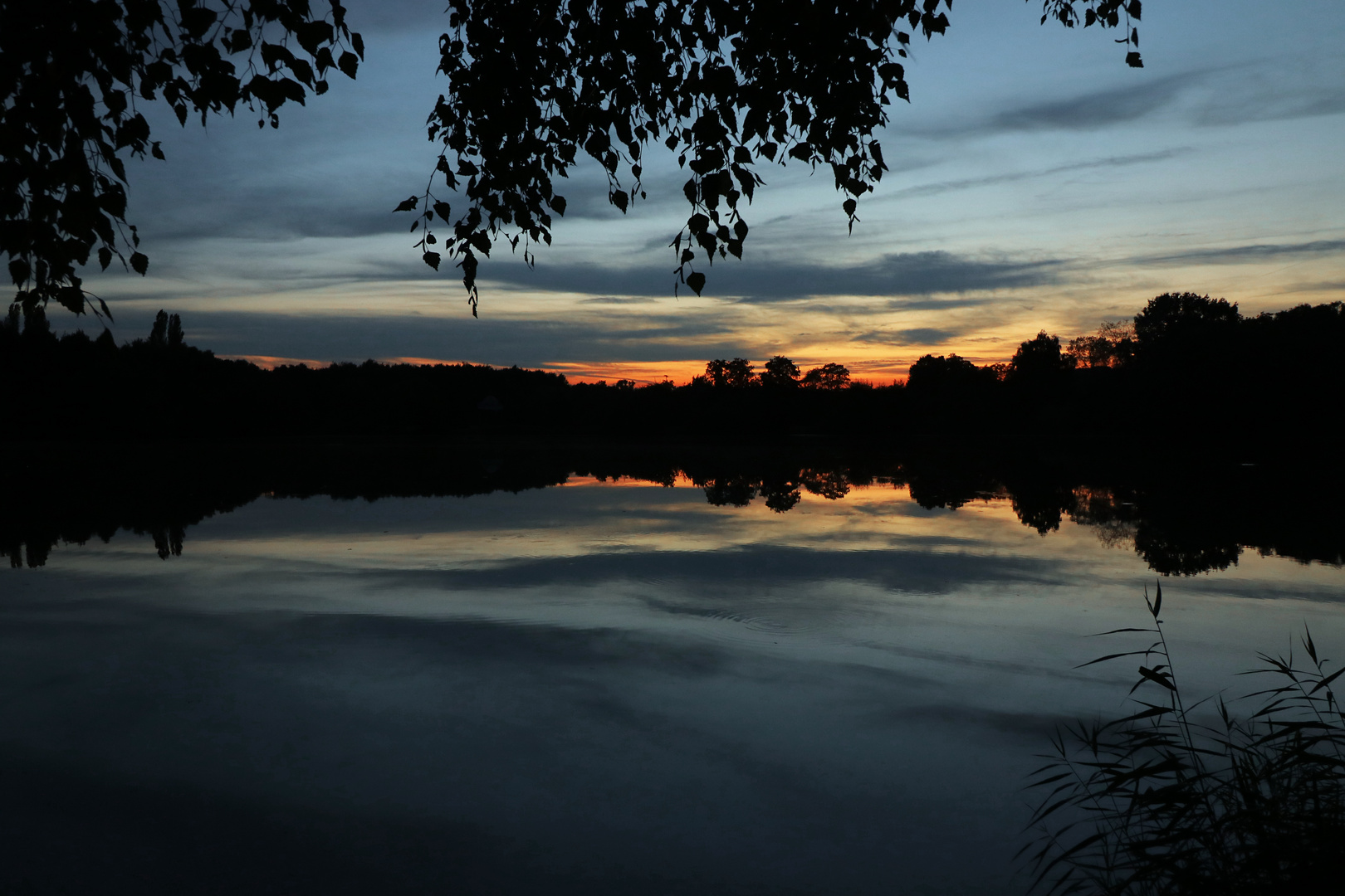 Dämmerung im Richmondpark