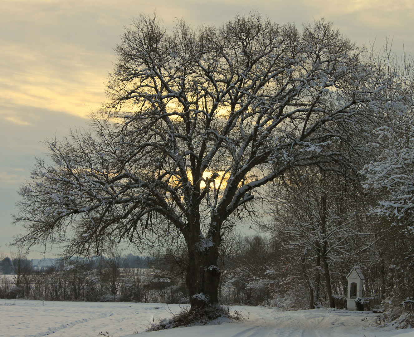 Dämmerung im Schnee