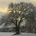 Dämmerung im Schnee