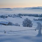 Dämmerung im Westallgäu