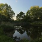 Dämmerung im Westpark