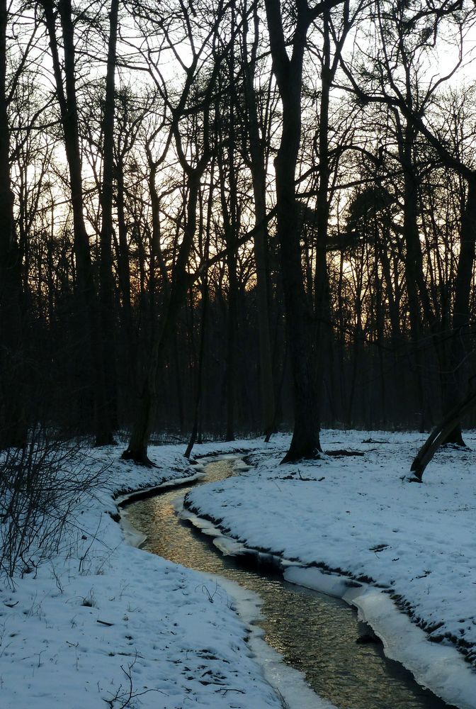 Dämmerung im Winter