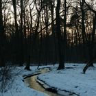 Dämmerung im Winter