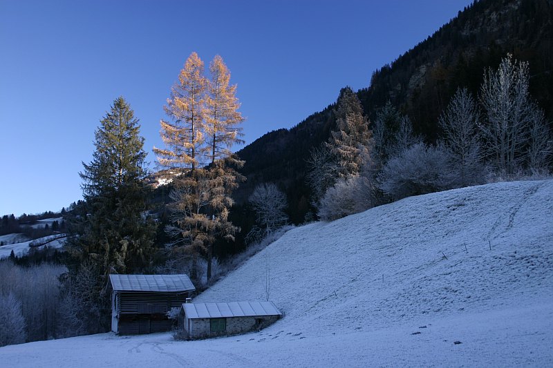 Dämmerung im Winter