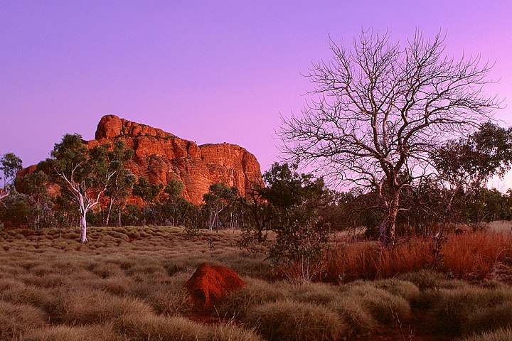 Dämmerung in den Bungle Bungles, Westaustralien