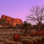 Dämmerung in den Bungle Bungles, Westaustralien