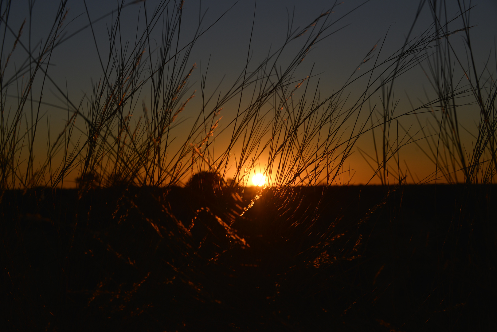 Dämmerung in der Kalahari