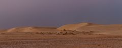 Dämmerung in der Wüste......
