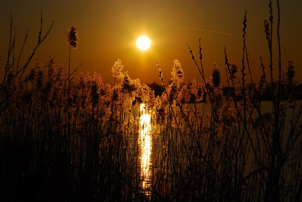 Dämmerung in holland (Loosdrecht)