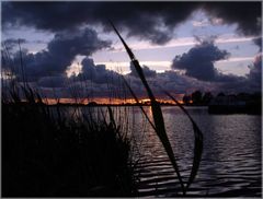 Dämmerung in NL Friesland 2005