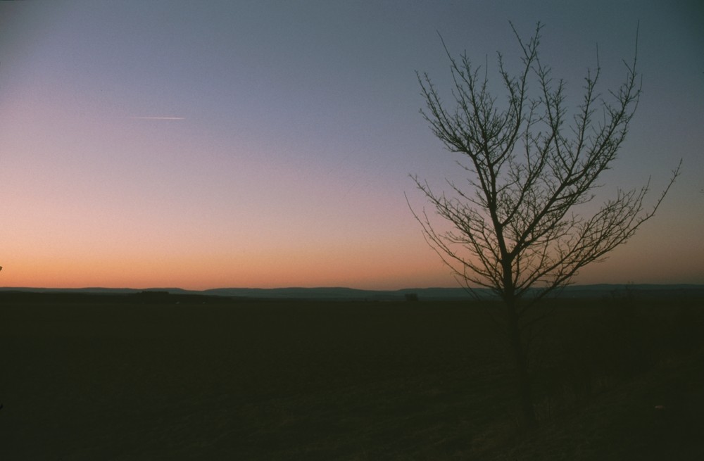 Dämmerung in Rheinhessen 1