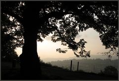 Dämmerung über St. Gallen