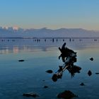 Dämmerung/Lindau/Bodensee