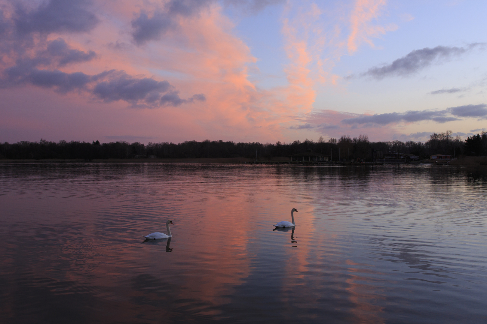 Dämmerungsanfang am Stockweiher 02.04.14