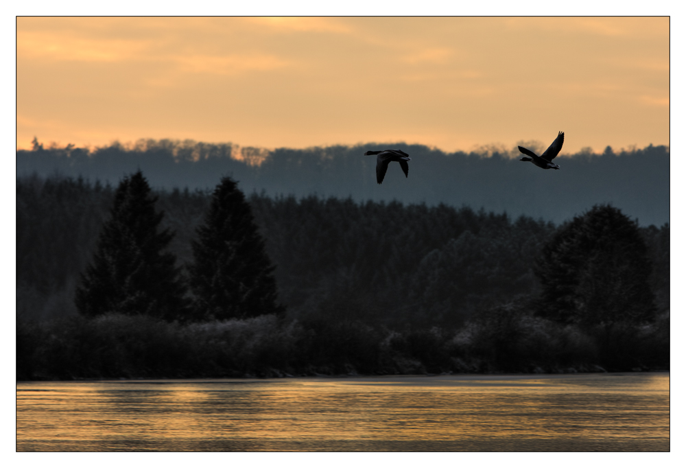 Dämmerungsflug