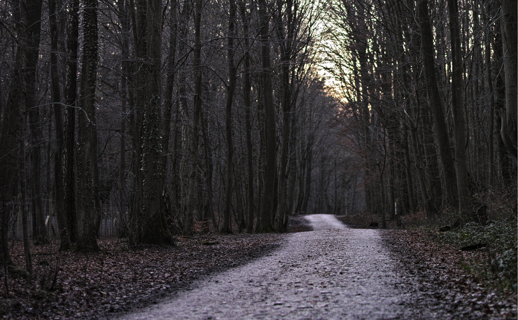 Dämmerungswanderung.