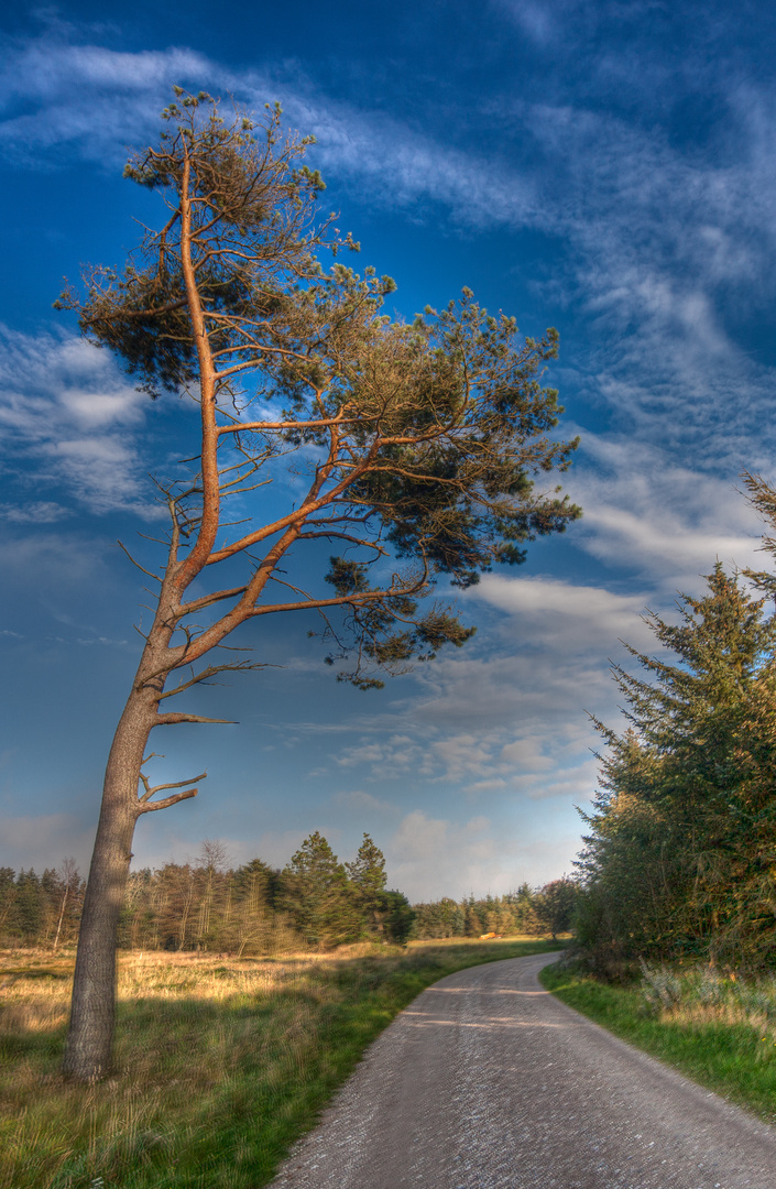 Dänemark 2011 -5