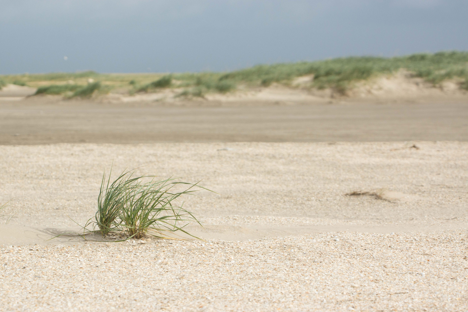 Dänemark 2015, Insel Rømø. Jede Menge Sand am Strand :-)