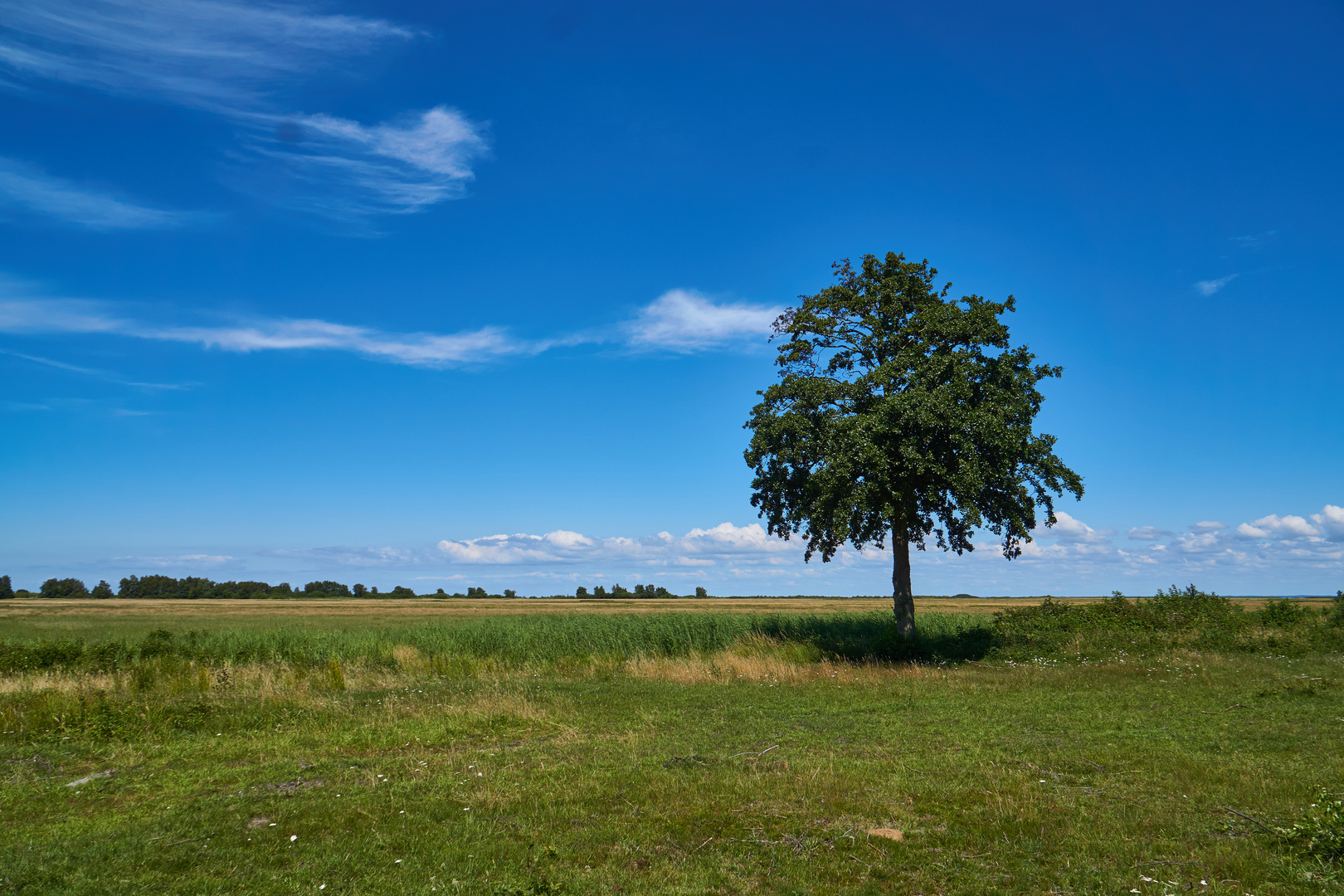 Dänemark