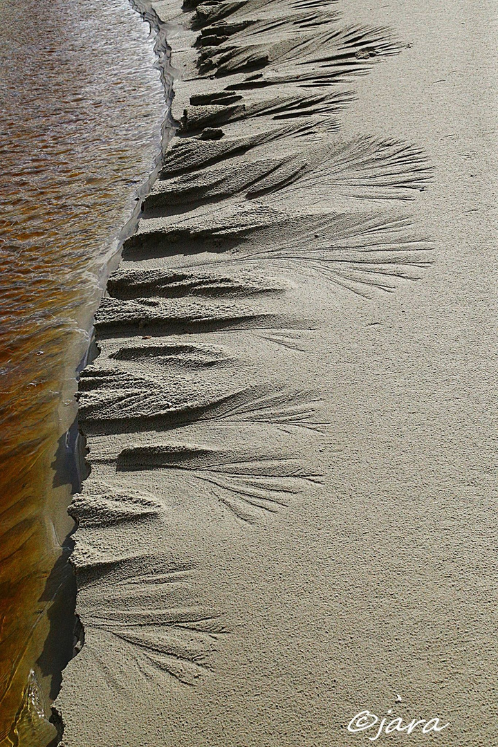 Dänemark ,  Blavand 