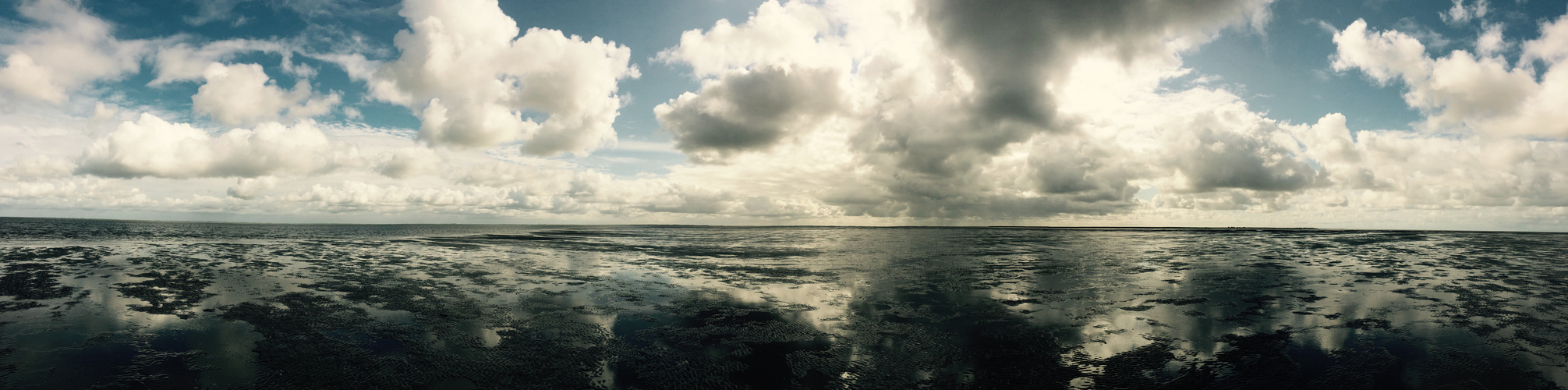 Dänemark - Insel Mandø - Wattenmeer 