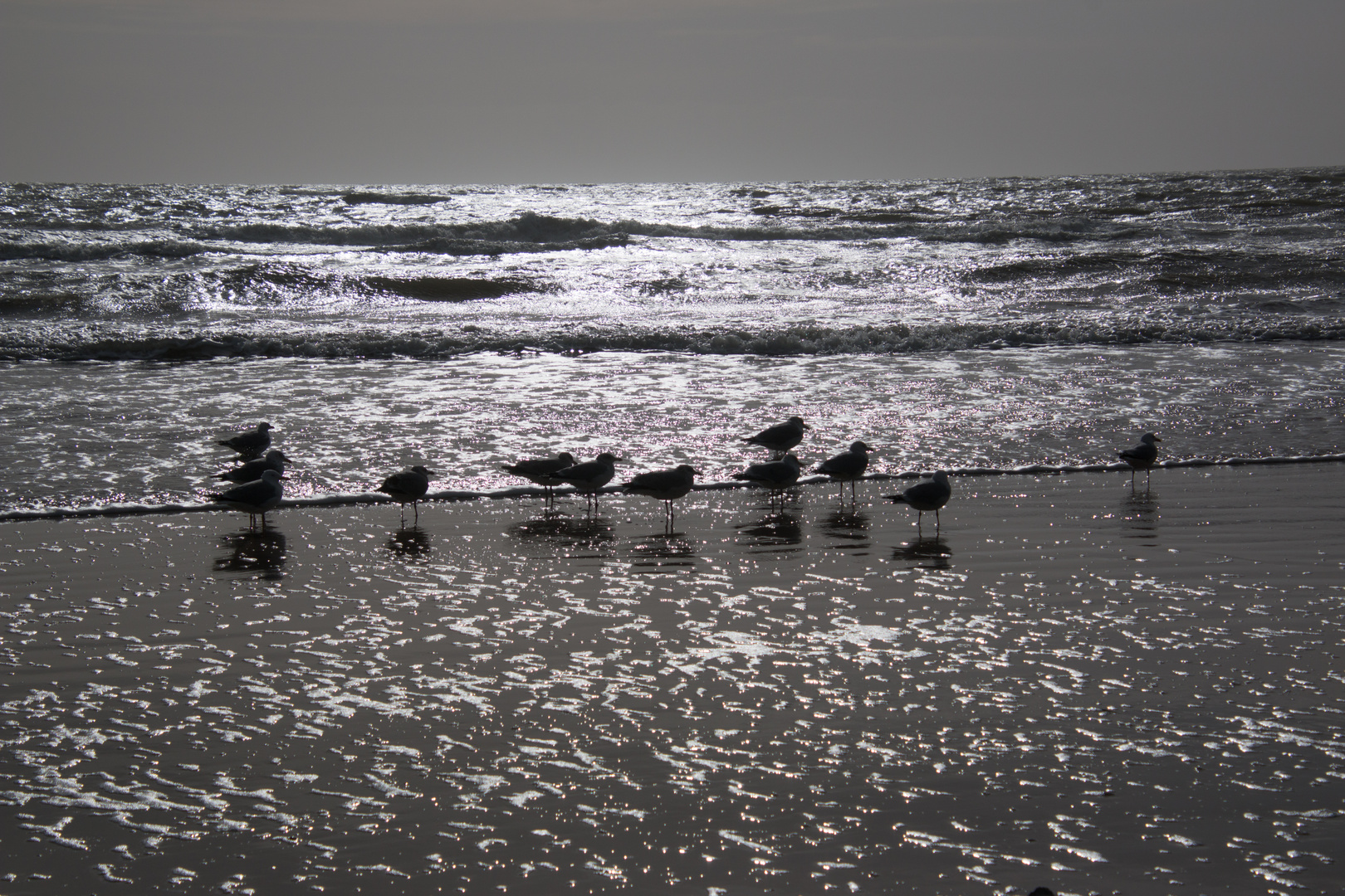 Dänemark Nordsee