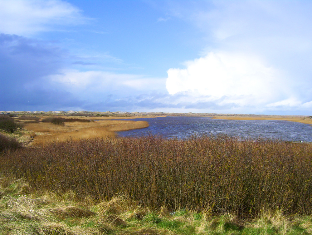 Dänemark - Ringköbbing Fjord