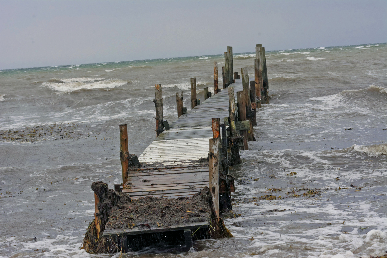 Dänemark Südjütland Diernaes Strand