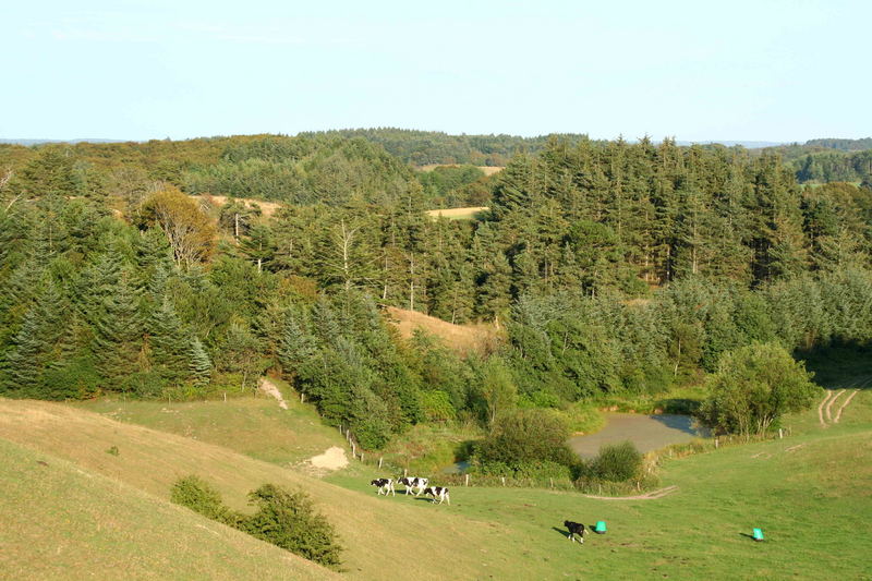 Dänemarks Bergwelt