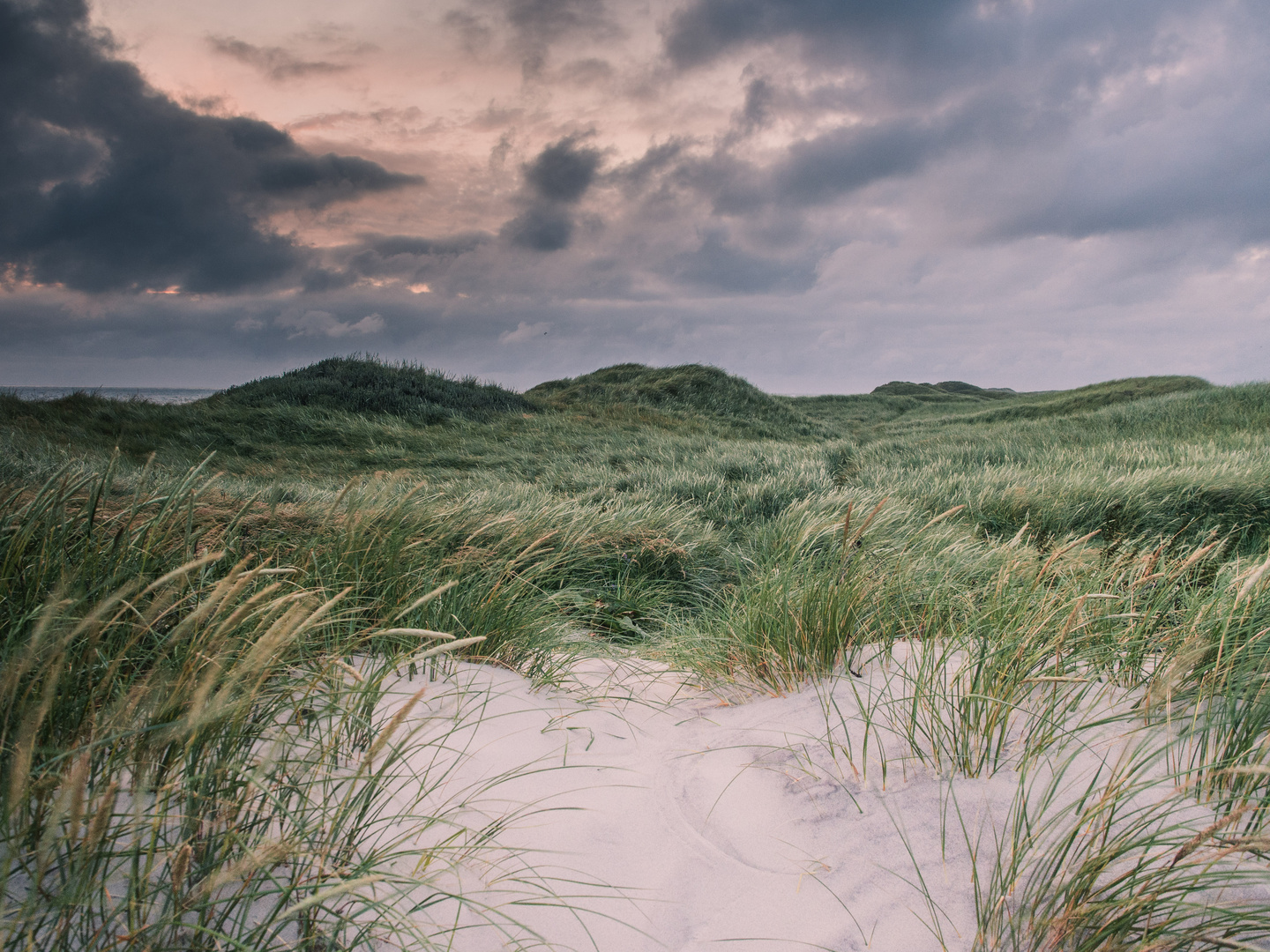 Dänemarks Dünenlandschaft