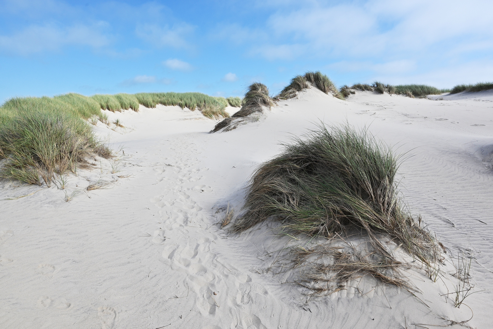 Dänische Dünen