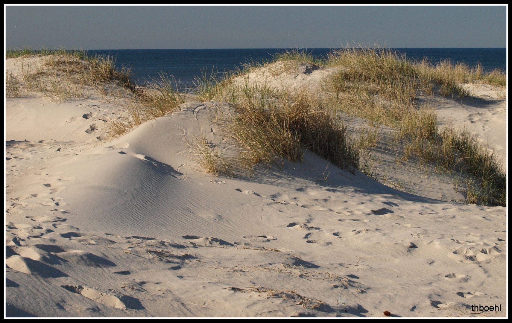 Dänische Dünen bei Hvide Sande