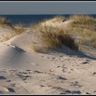 Dänische Dünen bei Hvide Sande