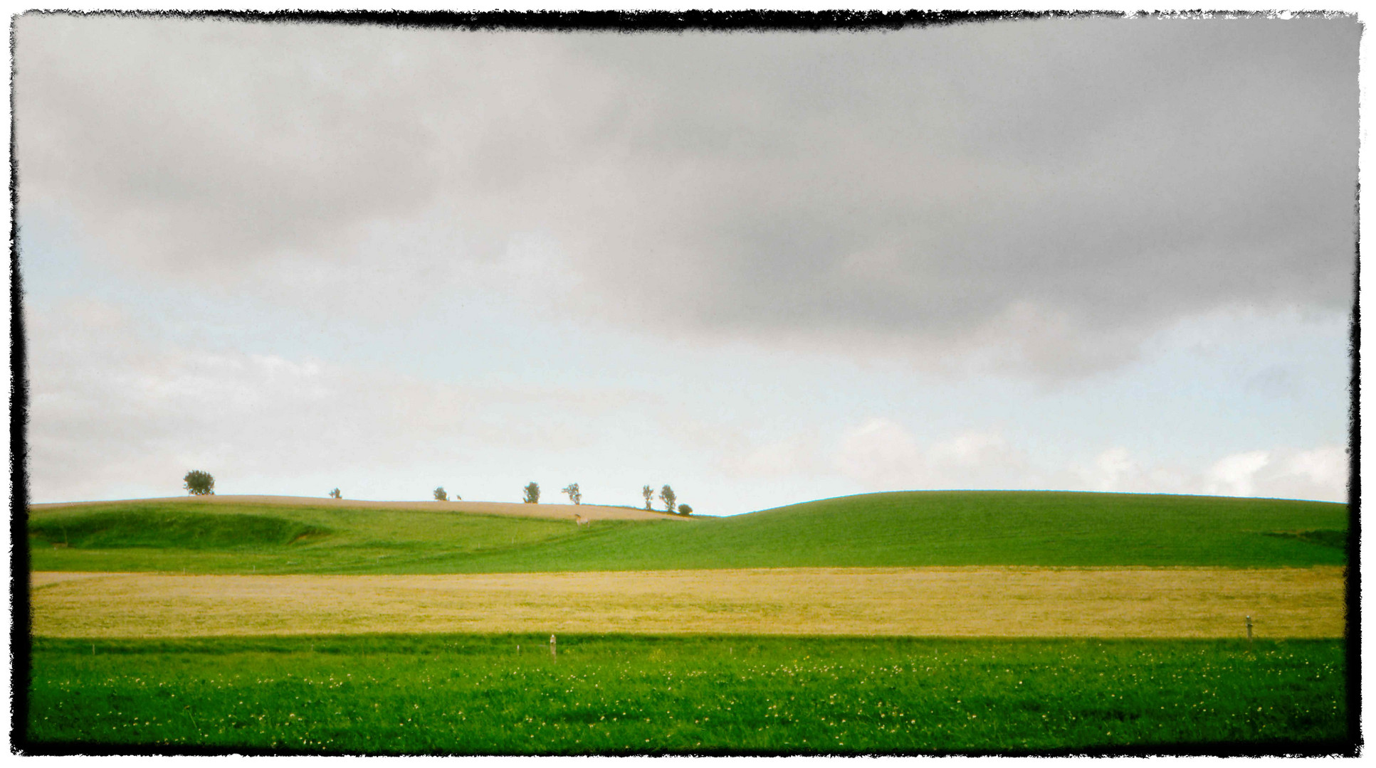 Dänische Landschaft 1980