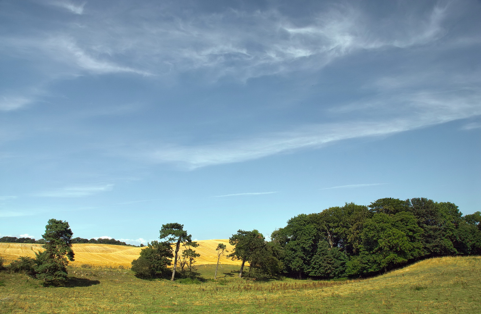 Dänische Landschaft