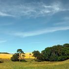 Dänische Landschaft