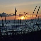 Dänische Nordsee am Abend